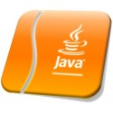 JAVA JEE development